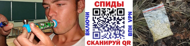Бутират буратино  как найти   гидра онион  Богородицк 