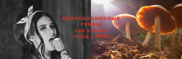 трава Беломорск