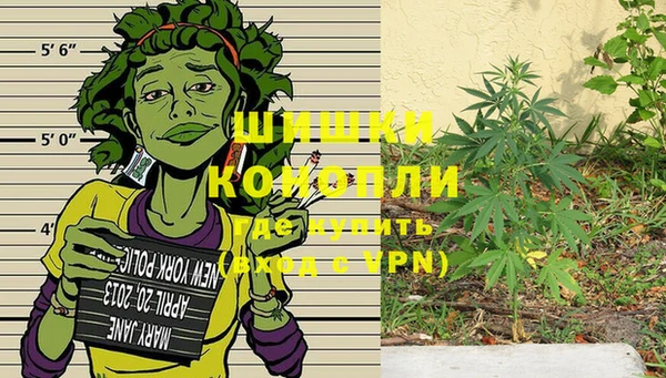 трава Беломорск