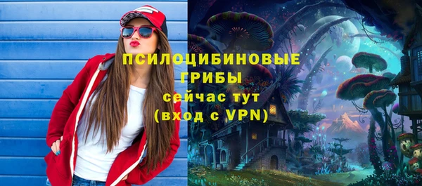 трава Беломорск