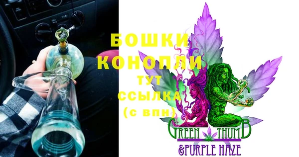 прущие крисы Белоозёрский
