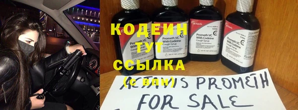прущие крисы Белоозёрский