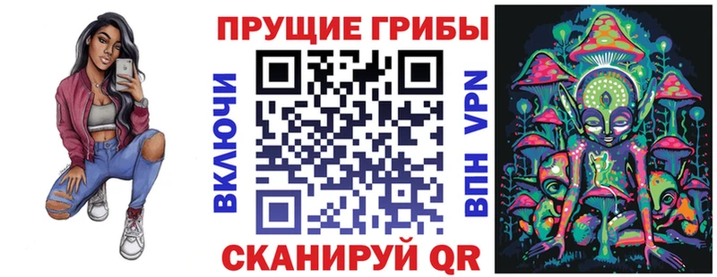 продажа наркотиков Богородицк Псилоцибиновые грибы GOLDEN TEACHER