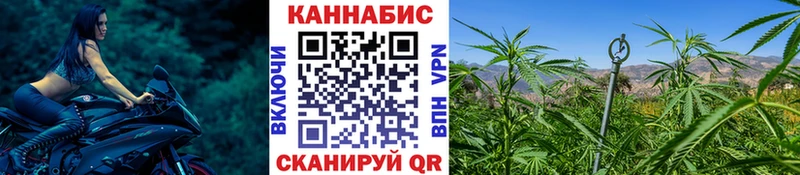 blacksprut   Богородицк  Марихуана тримм  закладка 